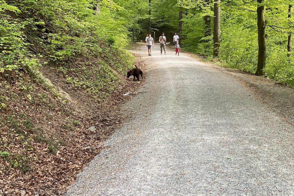 Apartment Feel Good With Forest View *