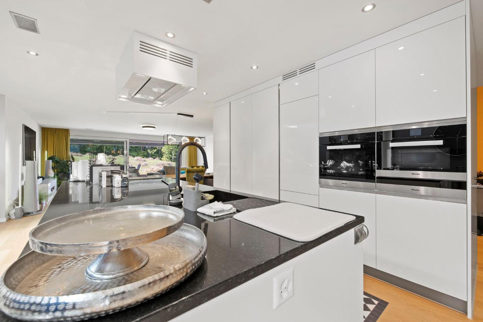 Exclusive Spacious Apt. With Garden In Zurich