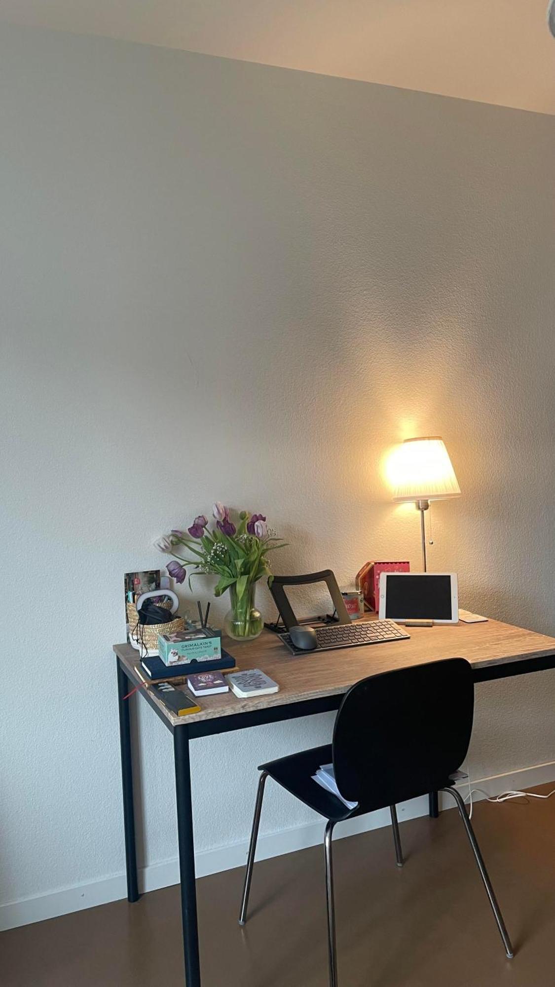 Apartment Taylor Swift - 20 Mins From Concert Zurich