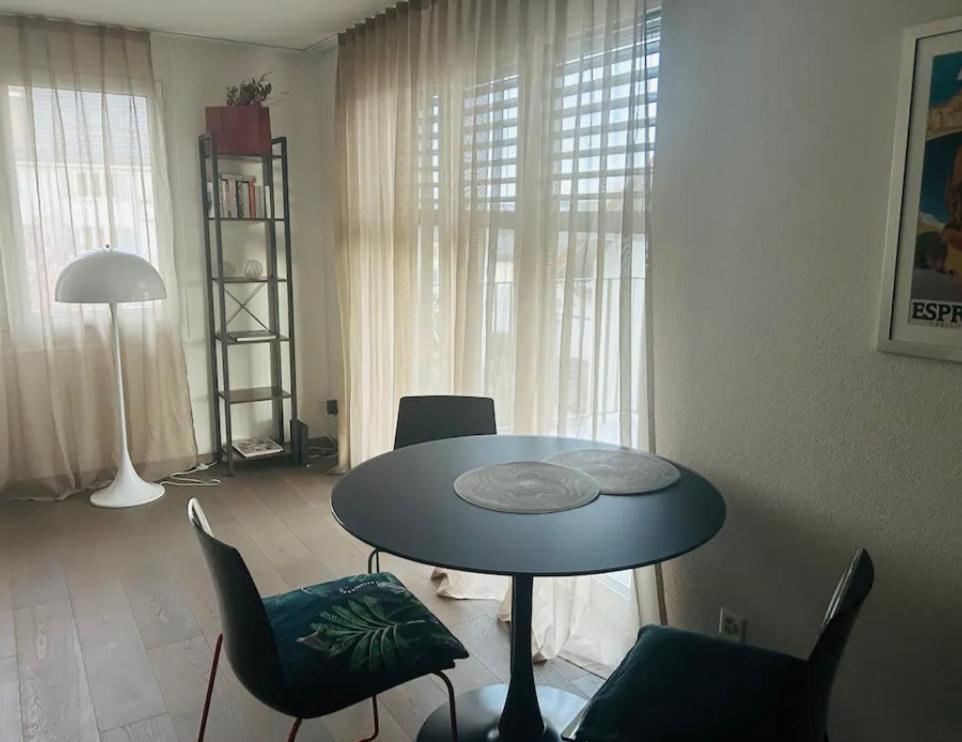 Cozy In Apartment Zurich