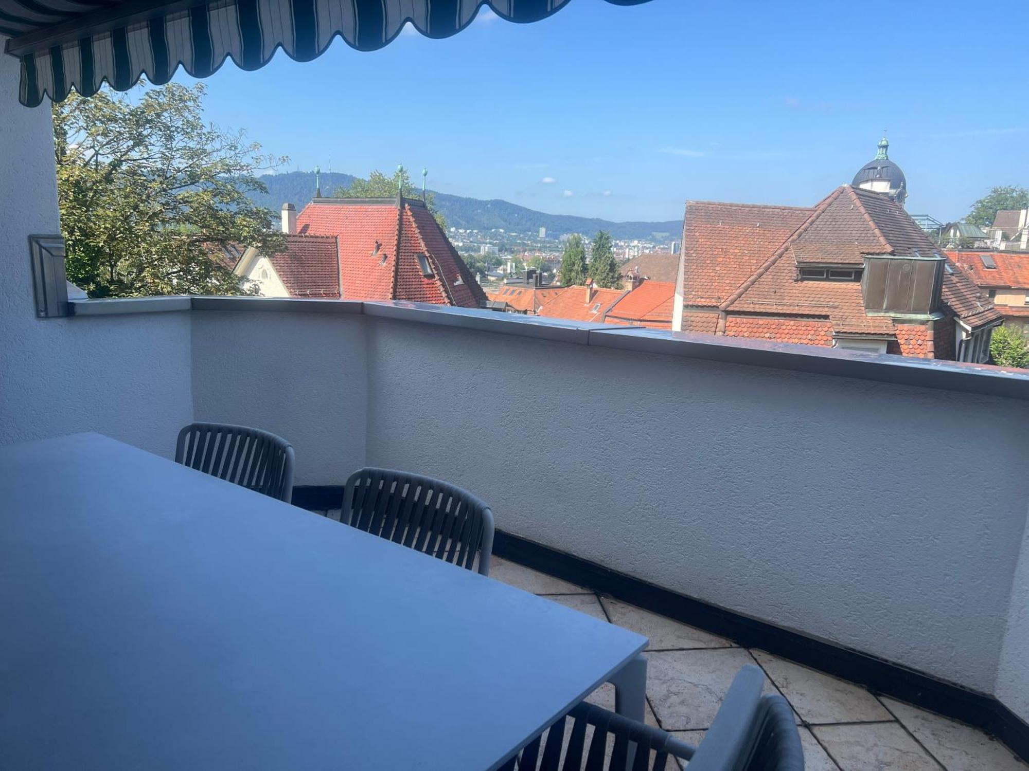 Apartment Spacious And Stylish In Zurich