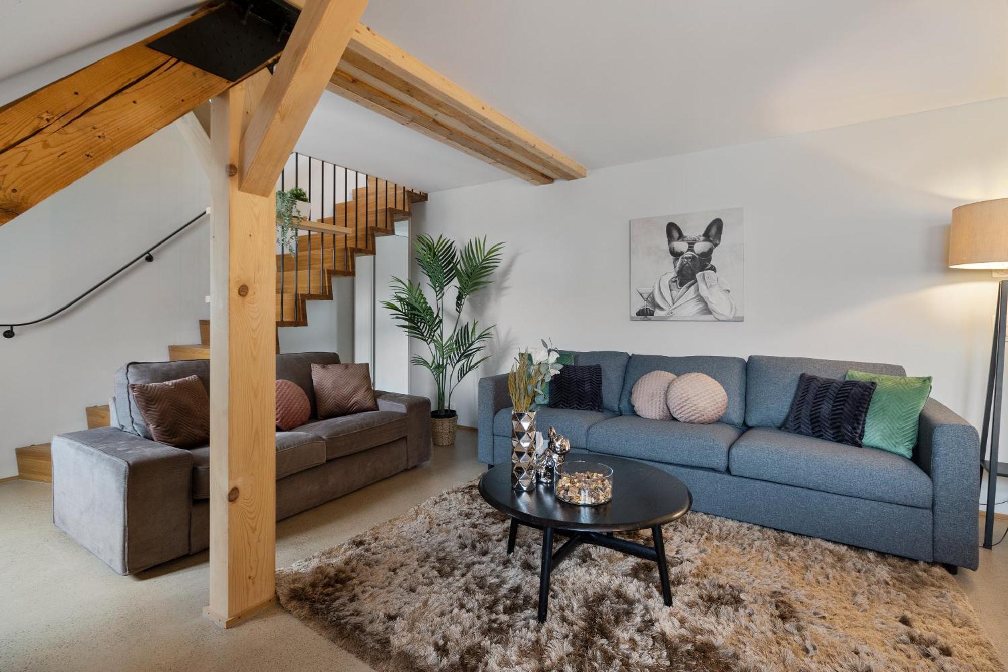 Apartment Boutiquepenthouse / Freeparking / Kingsuite / Privaterooftopterrace Zürich