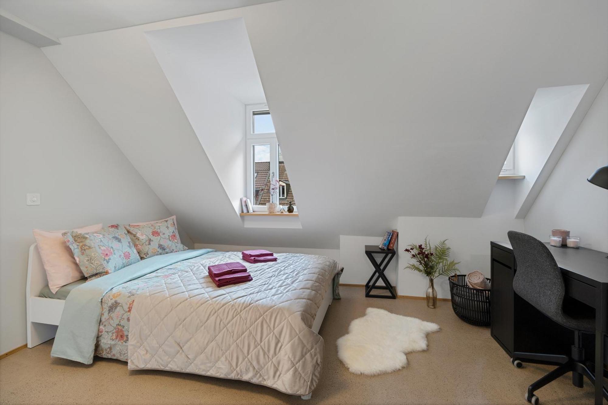 Boutiquepenthouse / Freeparking / Kingsuite / Privaterooftopterrace Apartment Zürich