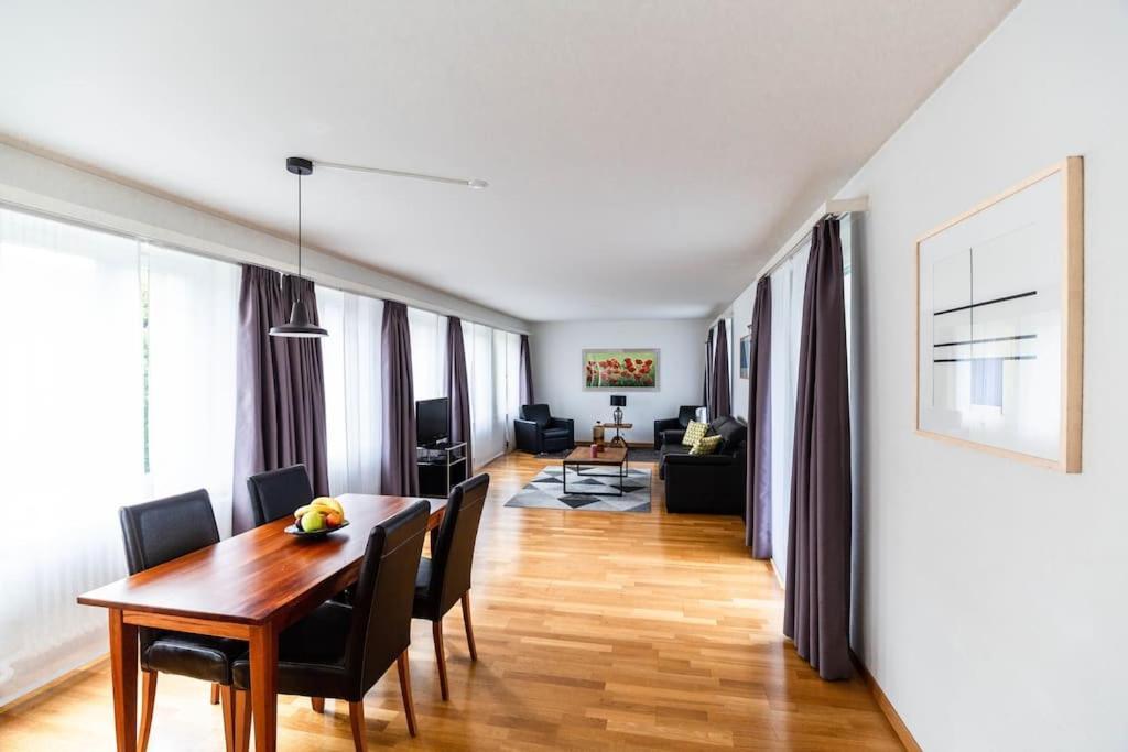 1 Bedroom Flat Center Near - D7 Zurich