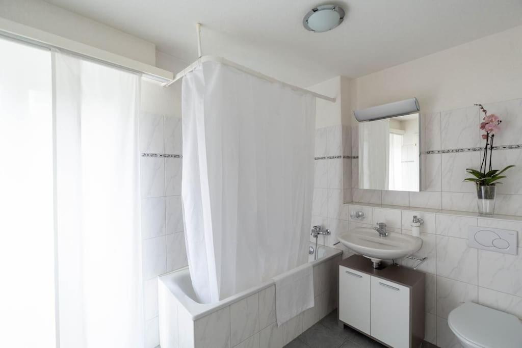 1 Bedroom Flat Center Near - D7 Apartment Zurich