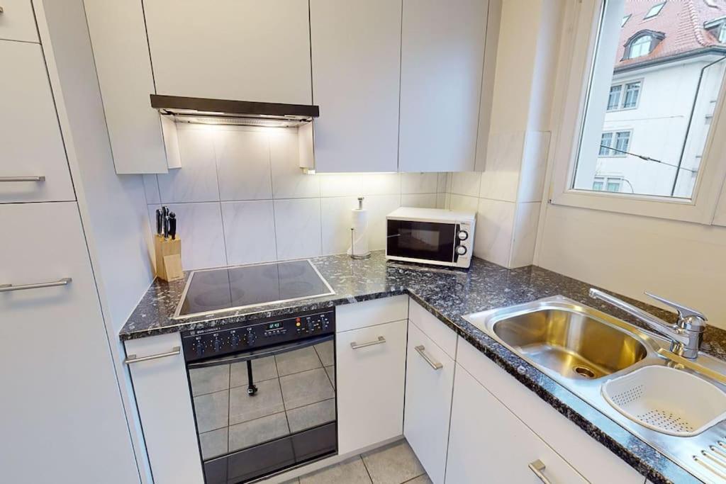 Apartment 1 Bedroom Flat Center Near - D7 Zurich