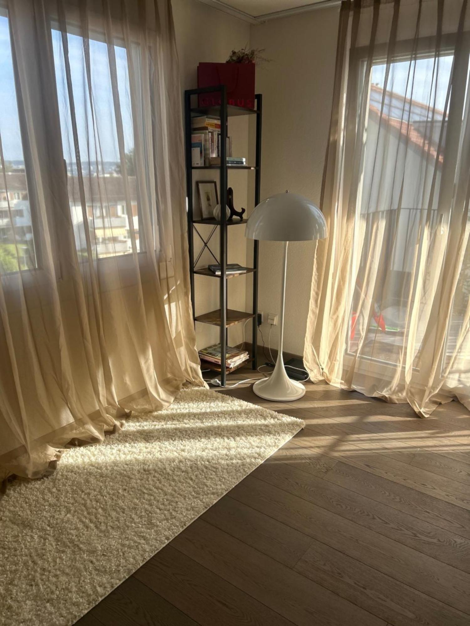 Apartment Cozy In Zurich