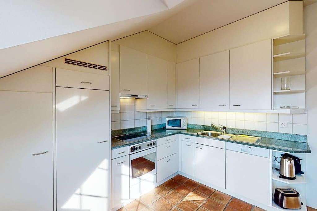 Maisonette Penthouse In Old Town - Uz10 Zurich