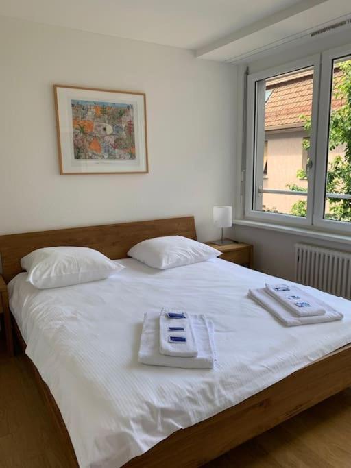 And Big 1br Flat In The Center - West 5 Apartment