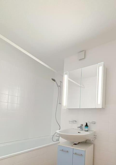 Swiss Apartment Zurich