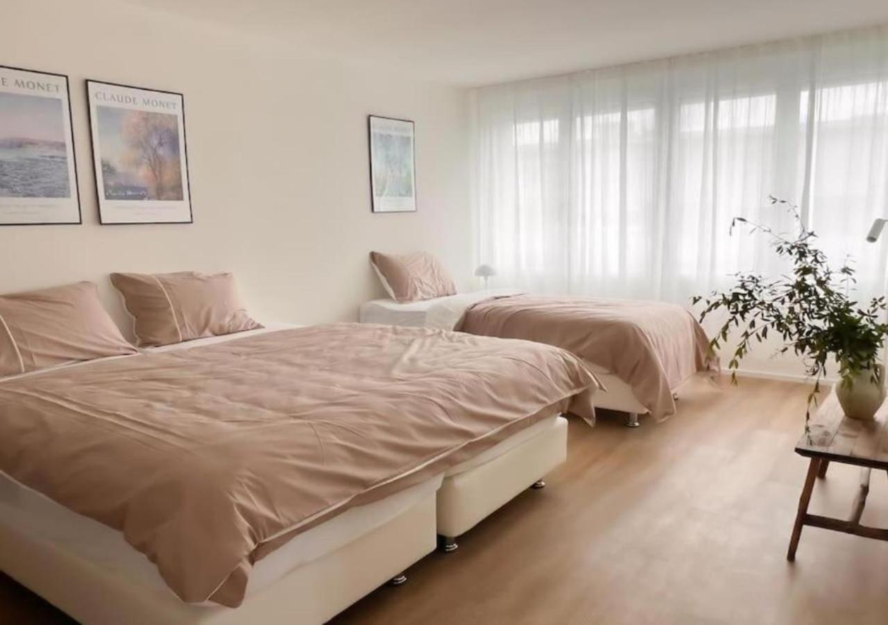 Apartment City Comfort - 2br Newly Renovated -301- Zürich