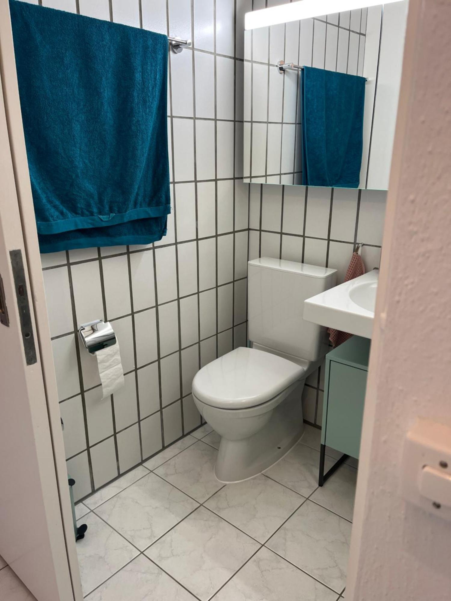 Apartment Letzigrund With Private Garden Zurich