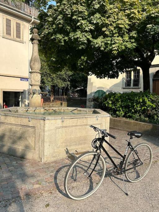 Apartment Lovely Flat Old Town Zurich
