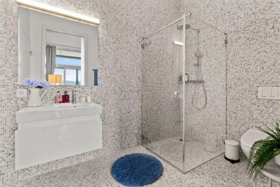 Large Luxury Business Penthouse Near Main Station Zurich