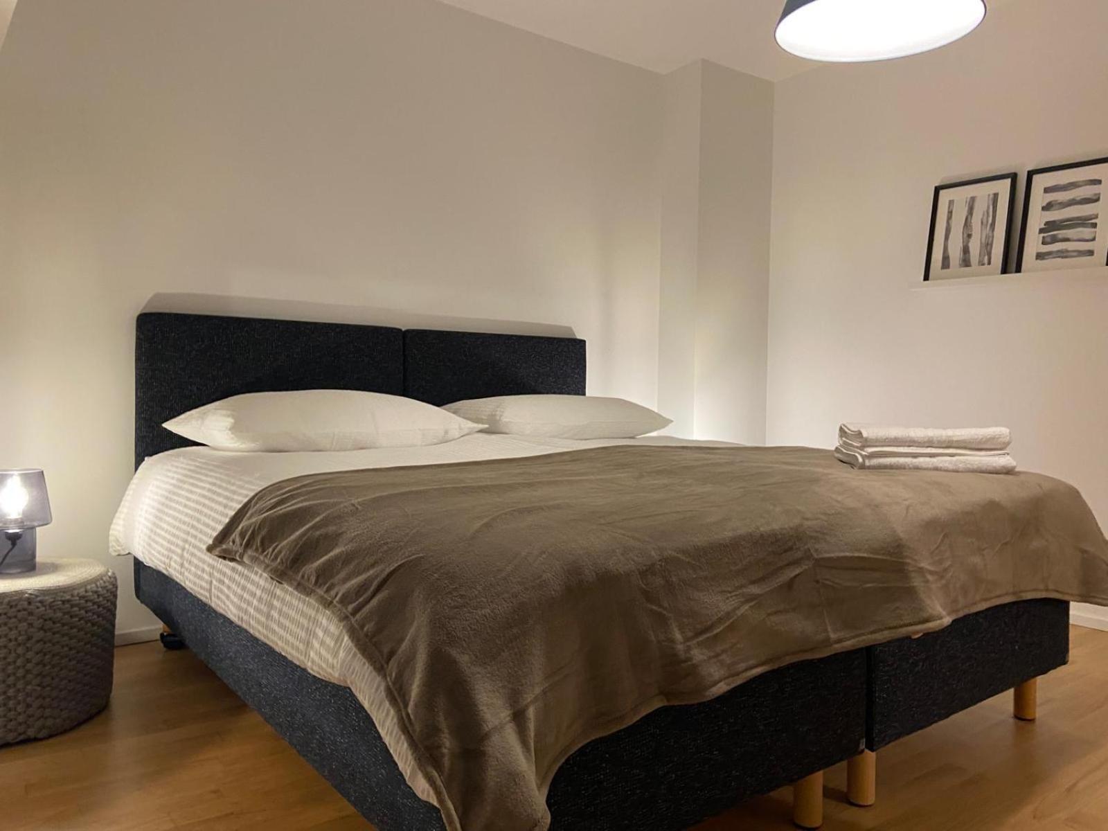 3 Bedroom Duplex In Wiedikon *