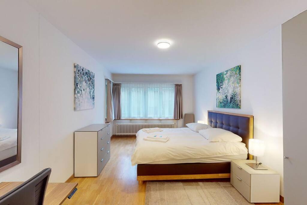 Apartment Terrific 2bd Flat Near Center And - 5 Zurich