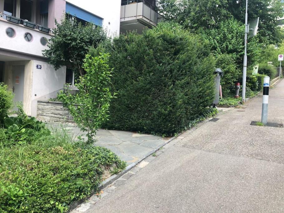 Bright In The Center - Greenyard 1 * Zurich