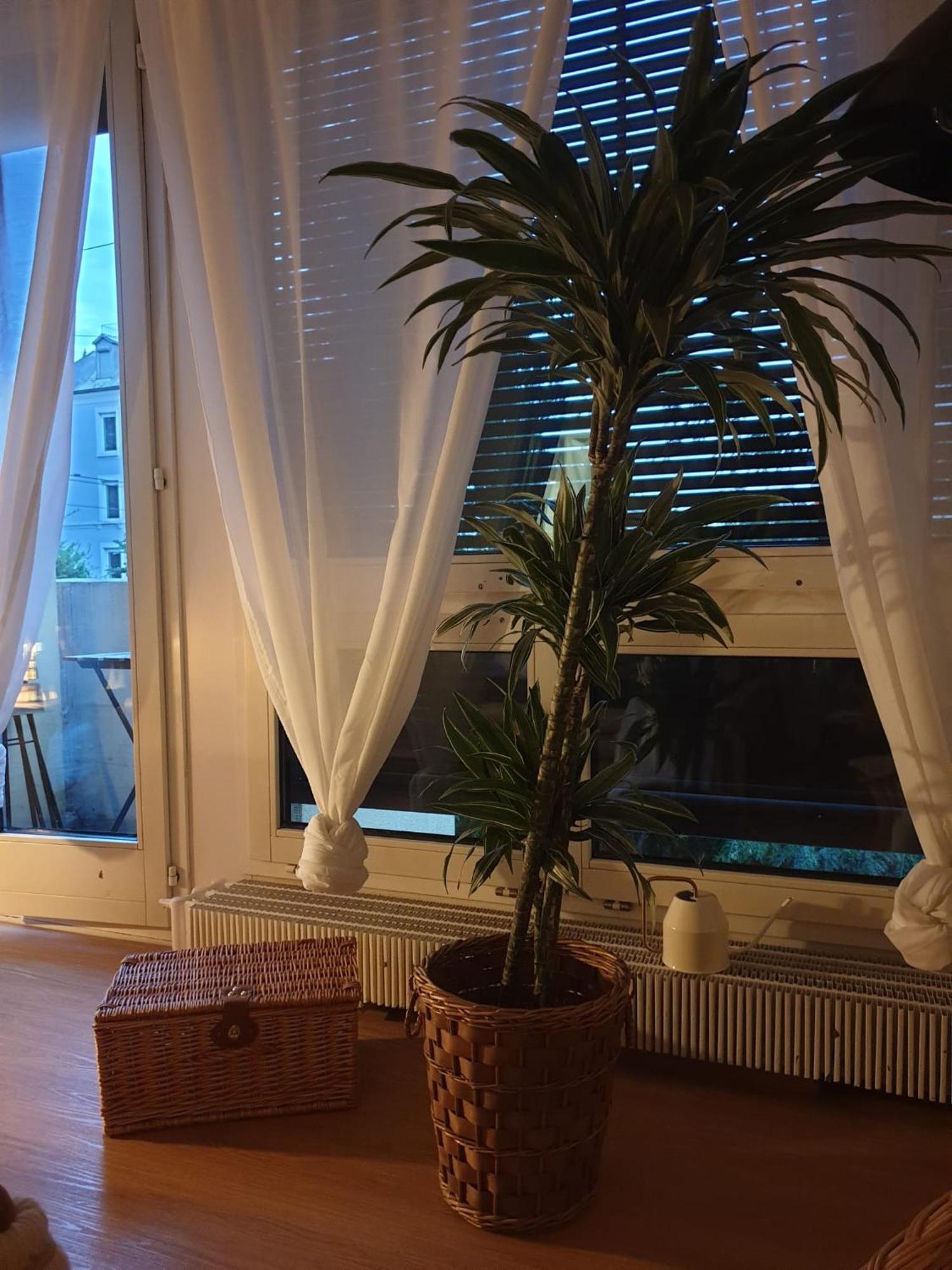 El Destino Apartment Zurich