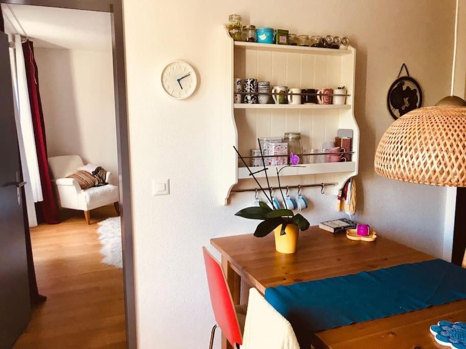 Cosy & Central, Lovely Terrace Over River & Park Apartment Zurich