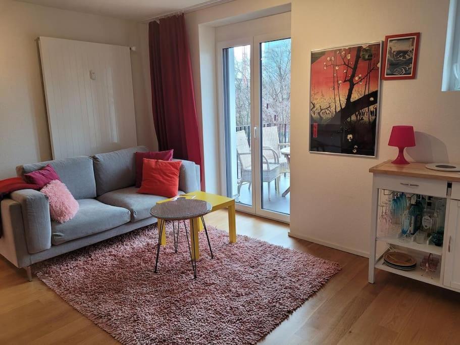 Apartment Cosy & Central, Lovely Terrace Over River & Park Zurich