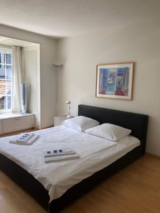 Charmin In Old Town - Uz8 * Zurich