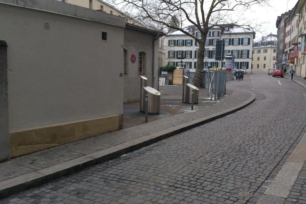 Apartment Charmin In Old Town - Uz8 Zurich