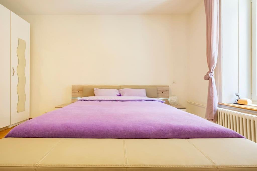 Enjoy And The Super Apartment