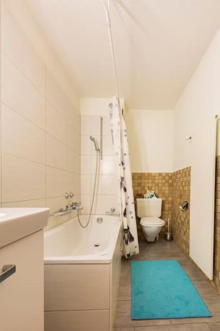 Enjoy And The Super Apartment Zurich