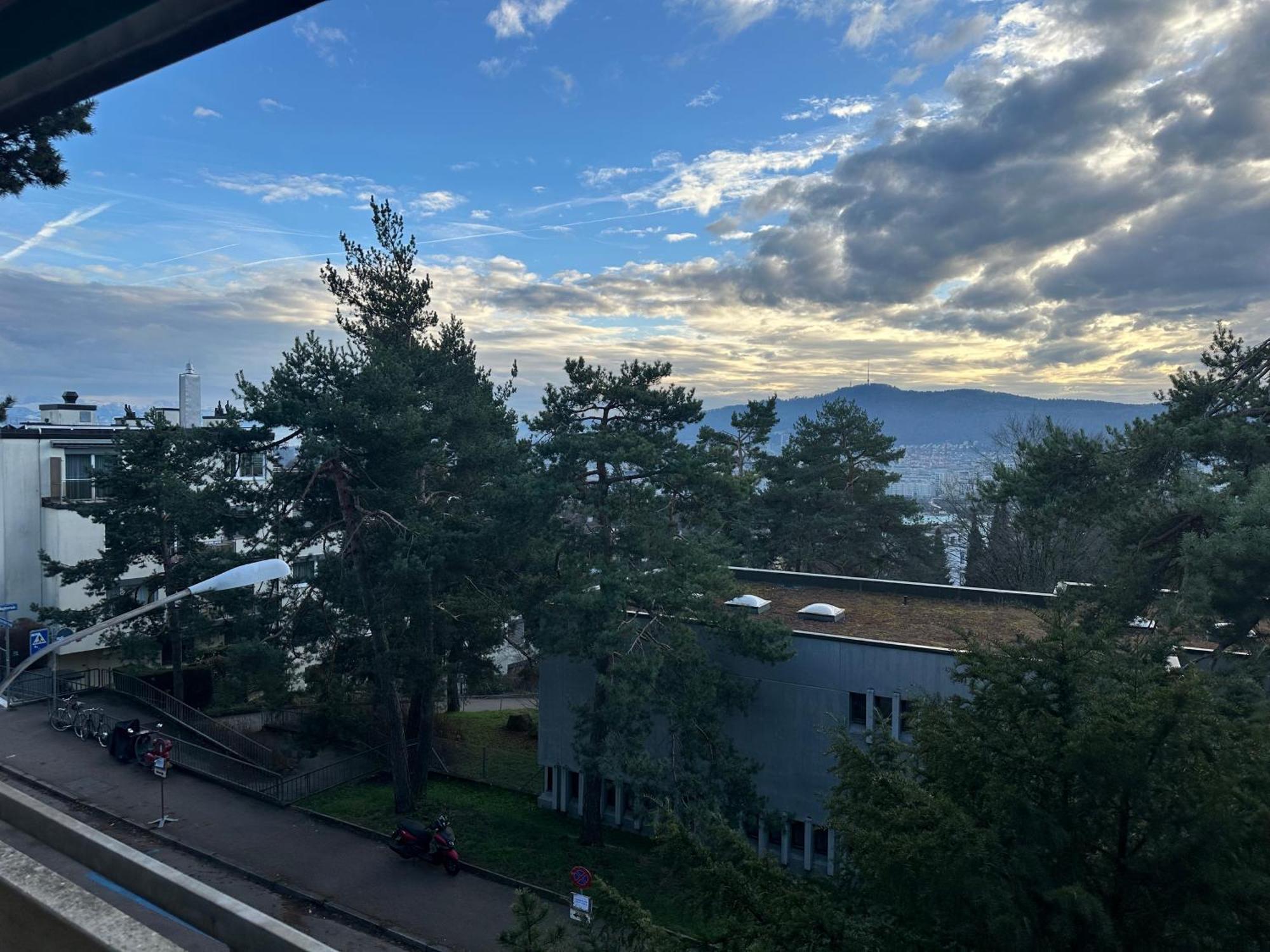 Lovely Room, 15 Min From Center, Mountain View Homestay Zurich