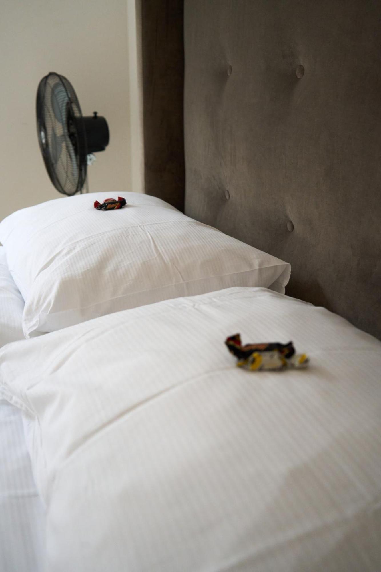 Wollishofen Station 2 Bedroom Luxury Apartment