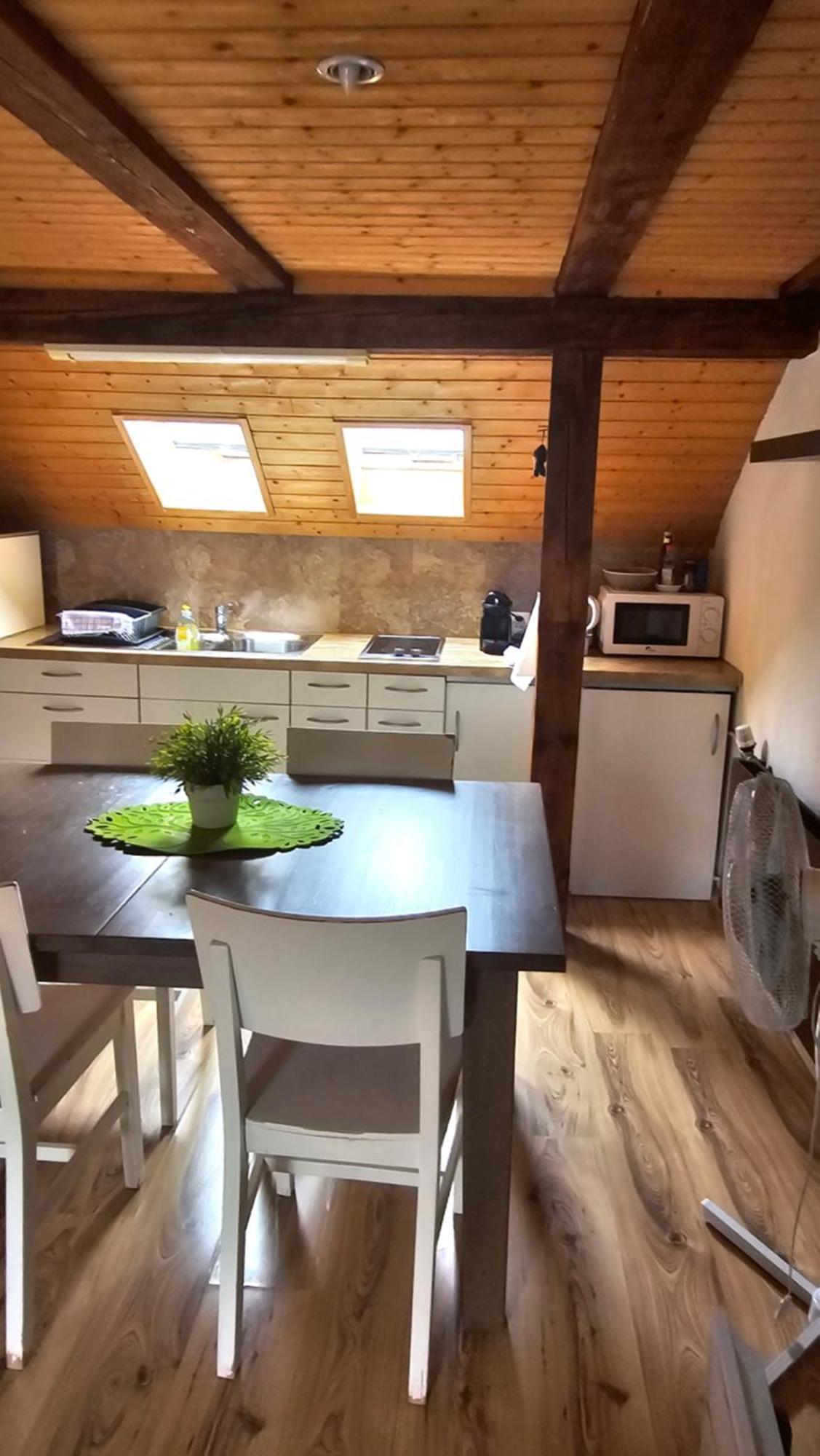 Cozy With Roof Terrace For 3 Apartment Zurich