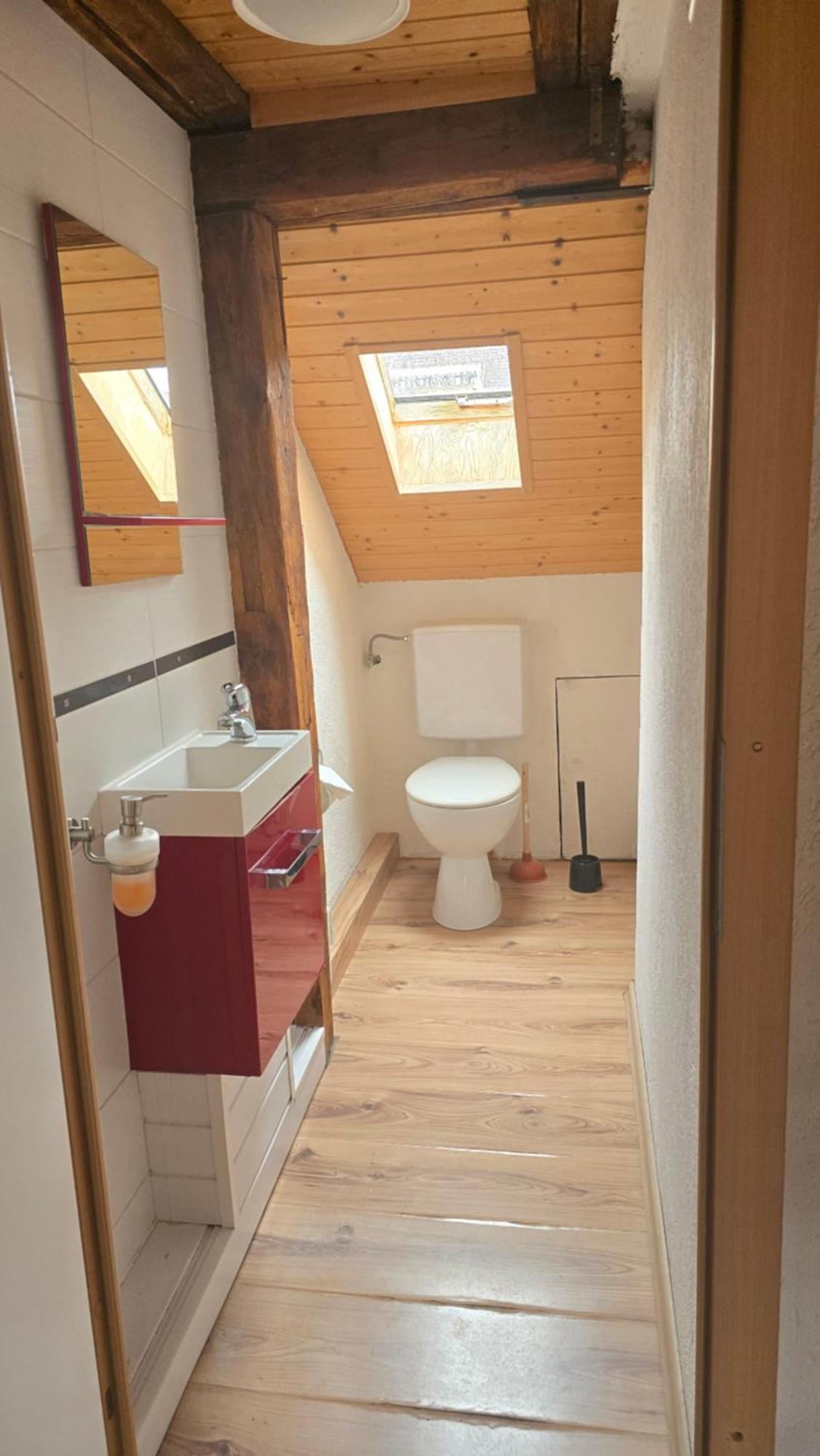 Apartment Cozy With Roof Terrace For 3 Zürich