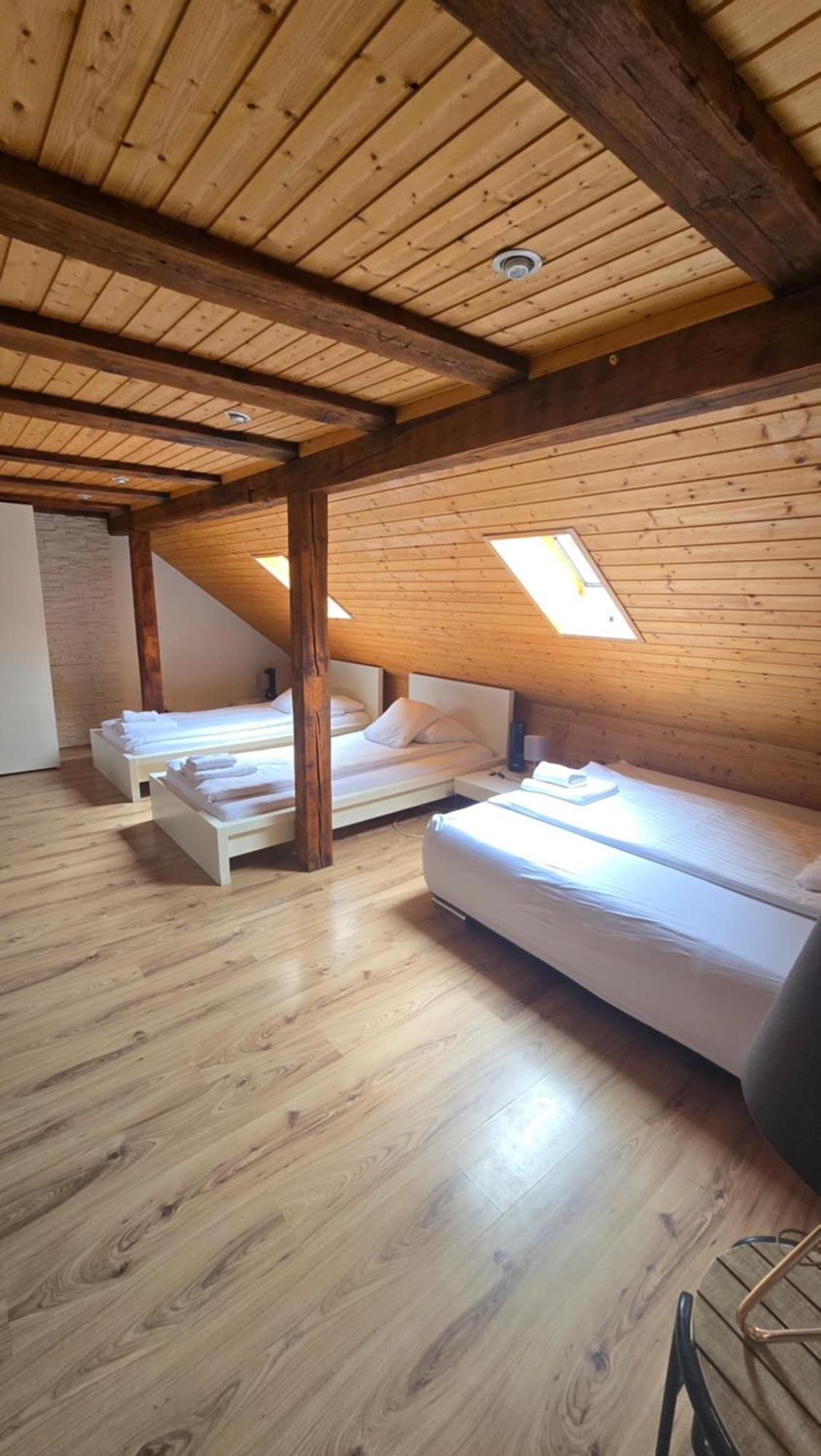 Cozy With Roof Terrace For 3 Apartment *