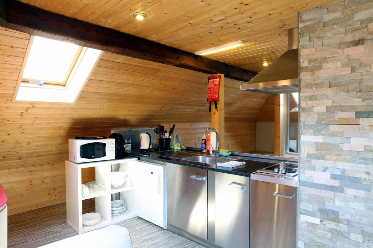 Attic Loft With Rooftop Terrace! Apartment