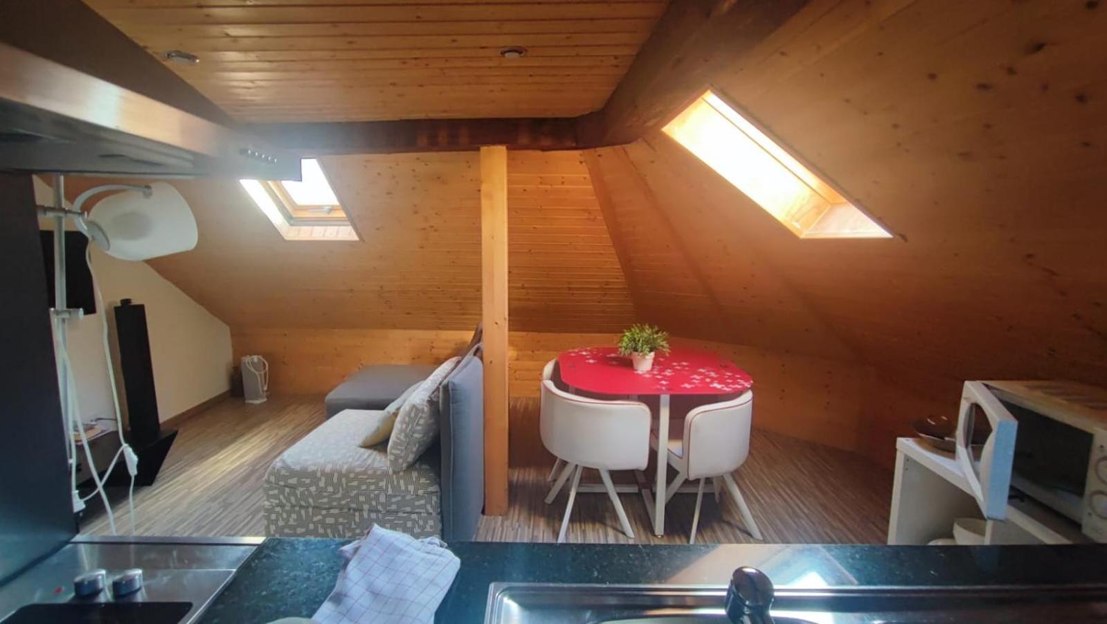 Attic Loft With Rooftop Terrace! Apartment Zurich