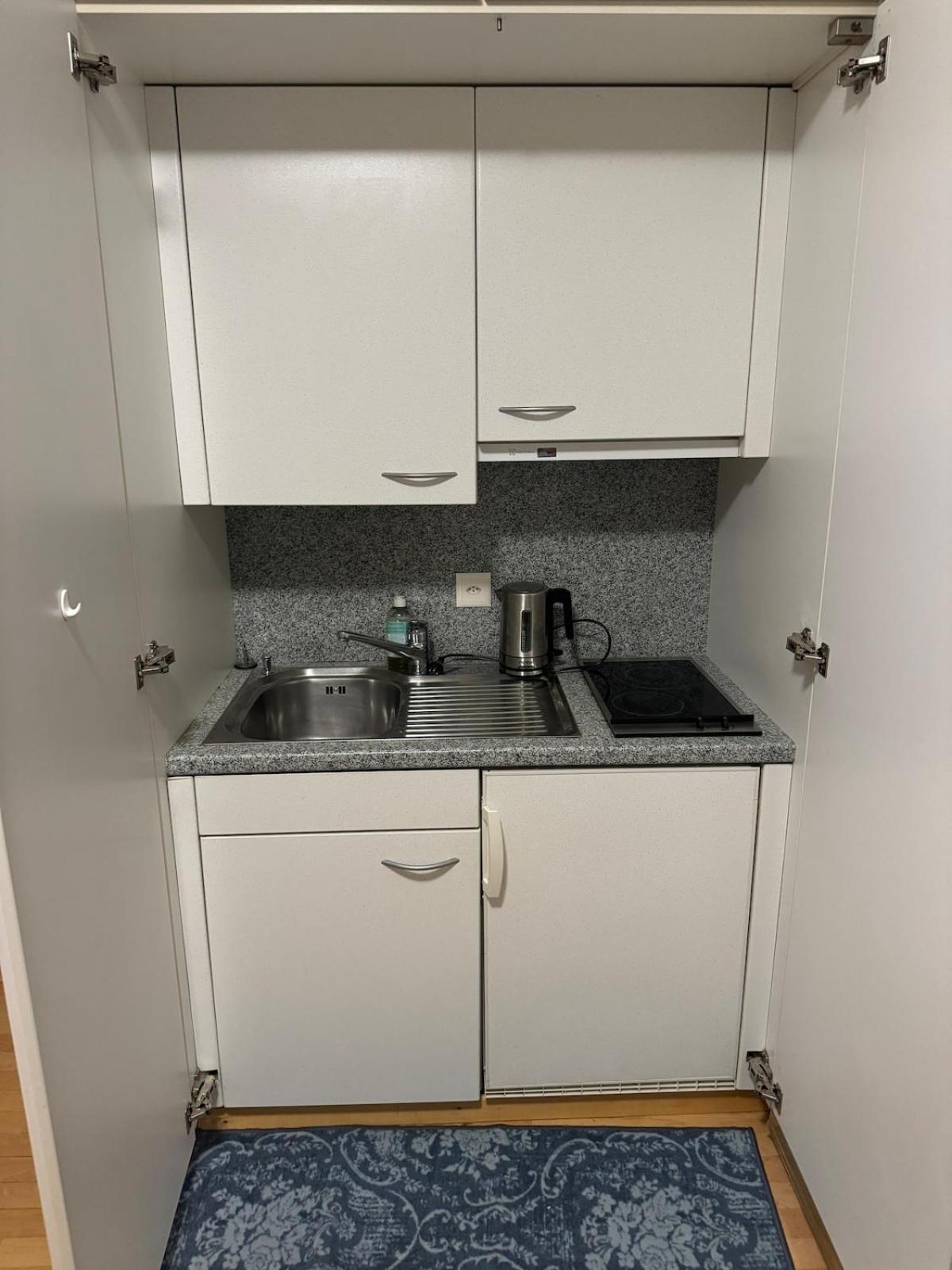 Flat In Apartment Zurich