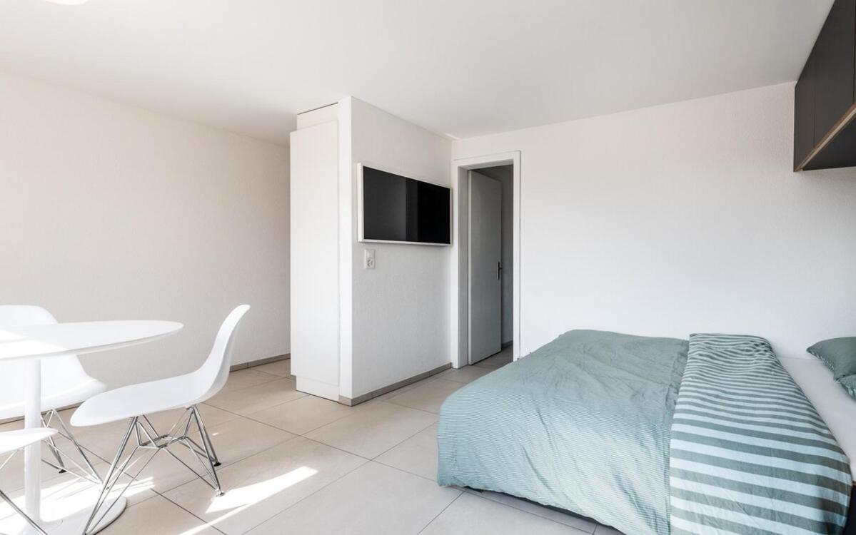 Modern 1 In District 4 Zurich