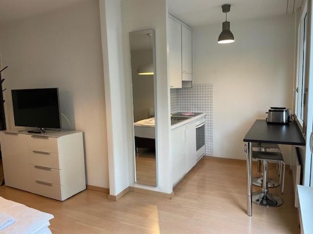 Apartment Terrific In The Centre - Art 2 Zurich