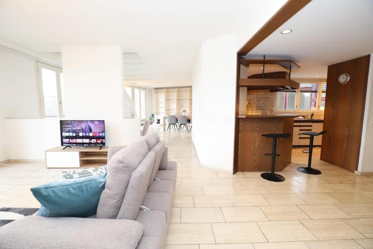 Penthouse With Jacuzzi, Sauna And Rooftop * Zurich