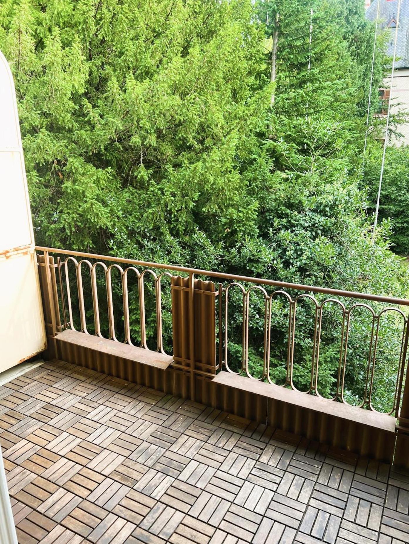Apartment Huge Charming Center With Balcony & Garden View Rigi