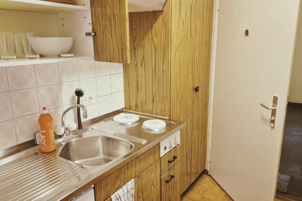 Huge Charming Center With Balcony & Garden View Rigi Apartment Zurich