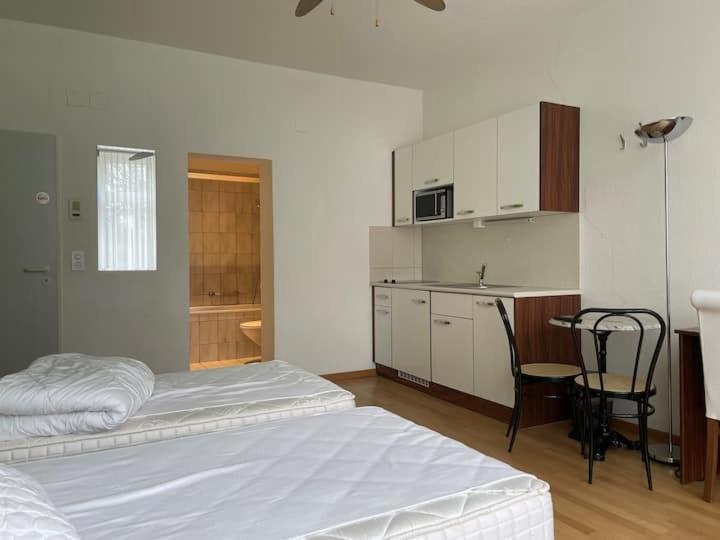 Apartment Renovated Near Sees Zurich
