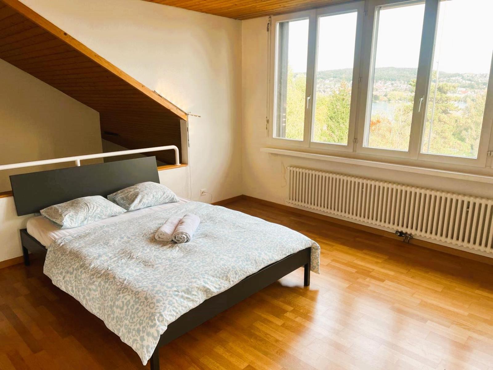 With View And Balcony In The Center Of Hwa * Zurich