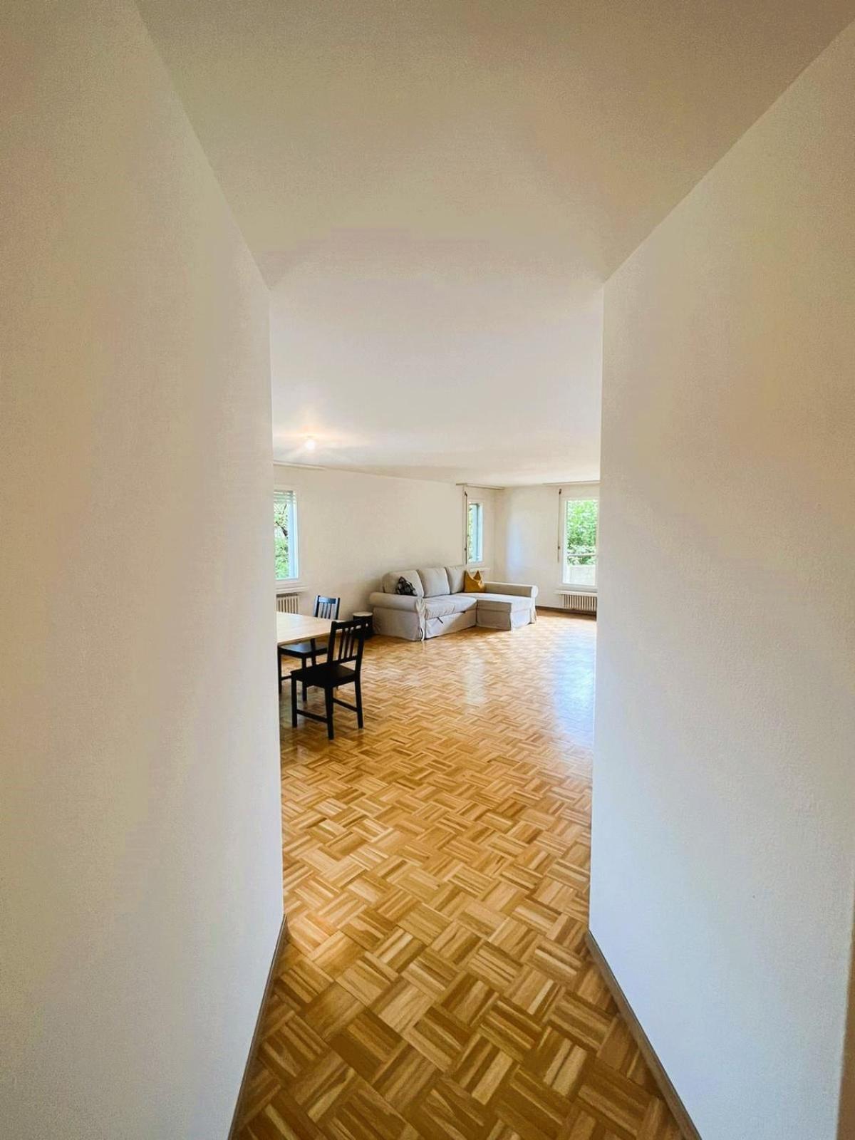Apartment With View And Balcony In The Center Of Hwa Zurich