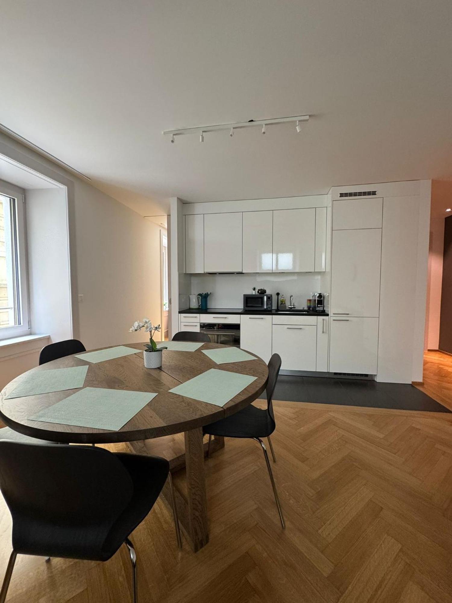 Apartment Station Apartment, 2 Bedroom & Sofabed Zurich