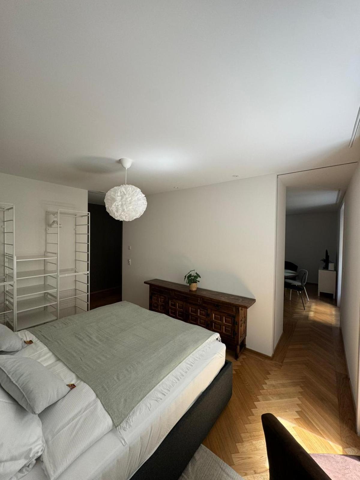 Apartment Station Apartment, 2 Bedroom & Sofabed Zurich