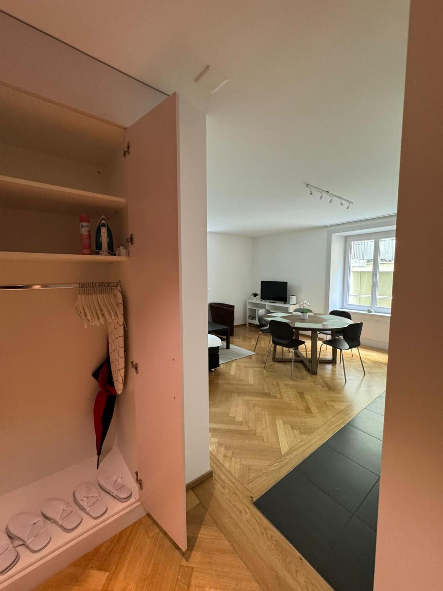 Apartment Station Apartment, 2 Bedroom & Sofabed Zurich