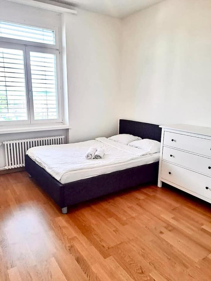 Huge Charming Center With Balcony & Garden View Rigi * Zurique