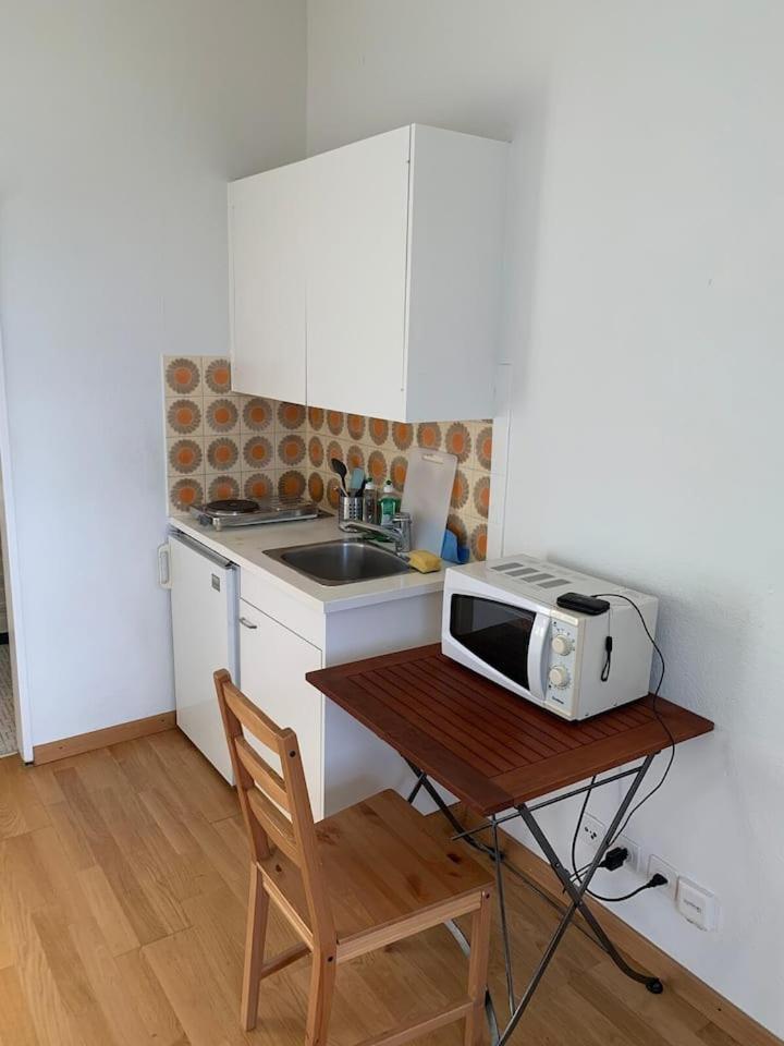 Huge Charming Center With Balcony & Garden View Rigi Zurich