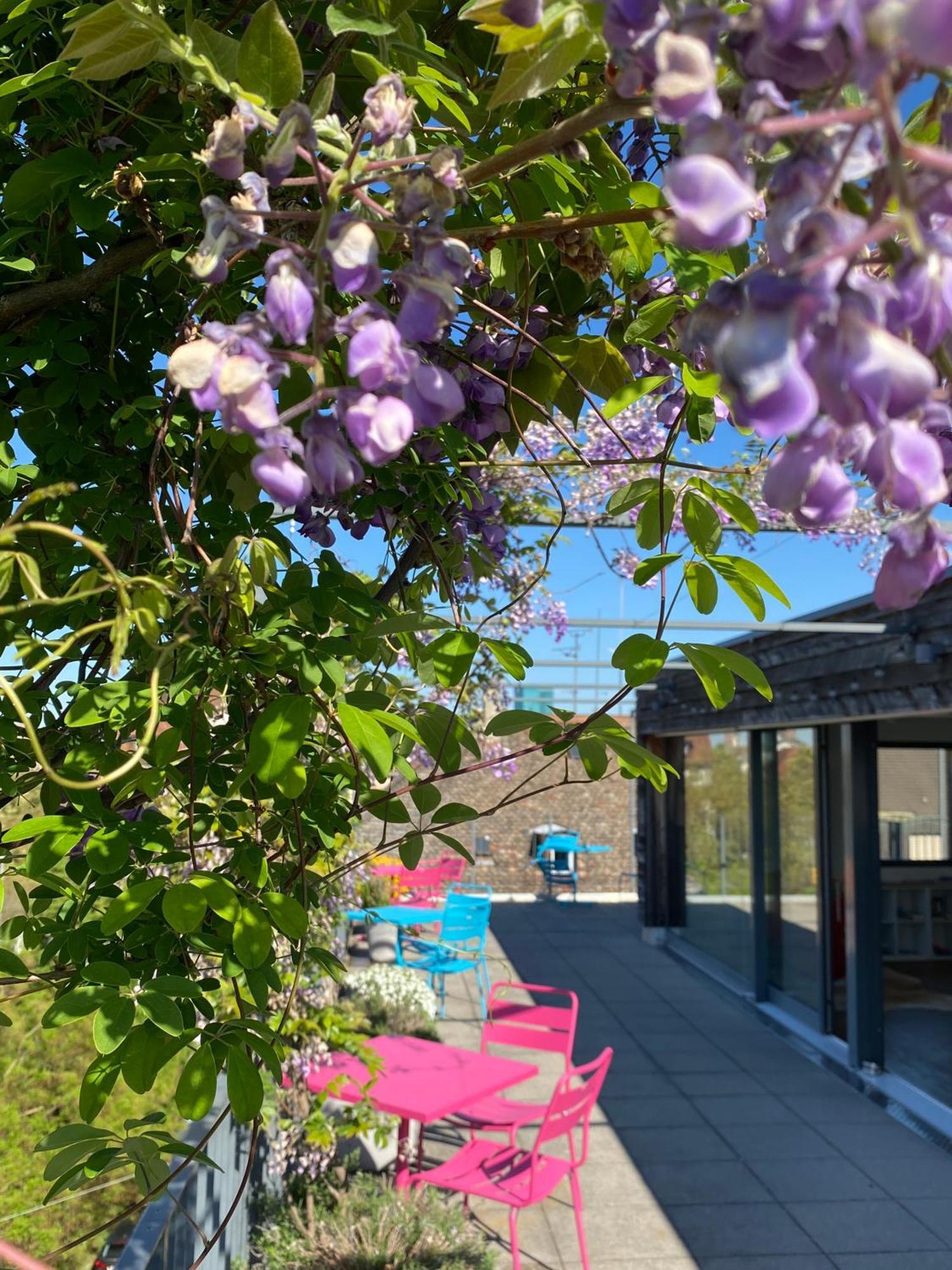 Josephine's - Women Only With Rooftop And Community Area 3* Zürich